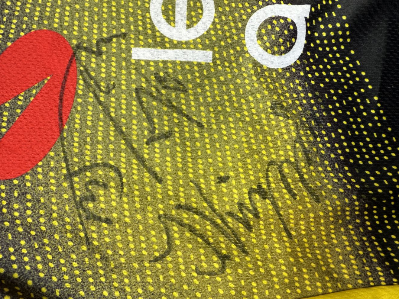 Gesigneerd wielershirt van Team Visma | Lease a Bike, Tour de France 2025