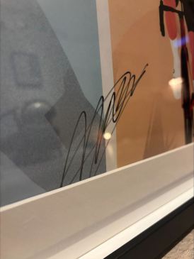 Gesigneerde poster van Mathieu van der Poel 